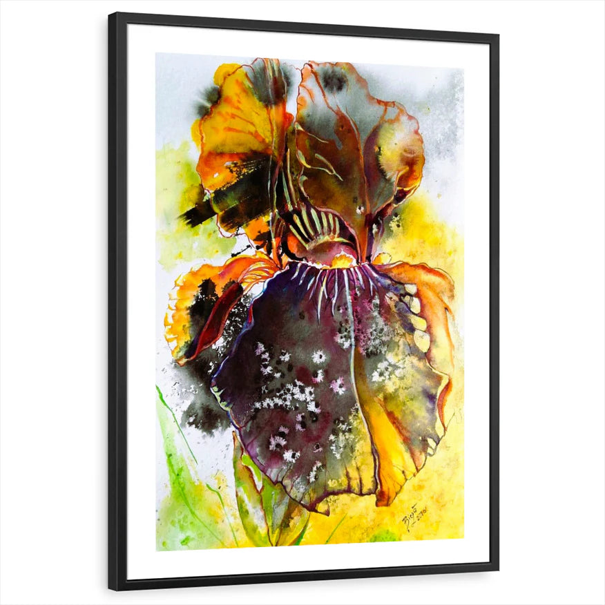framed-print-black-white-border