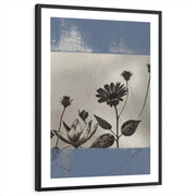 framed-print-black-white-border