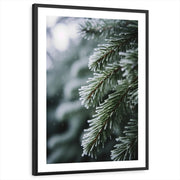 framed-print-black-white-border
