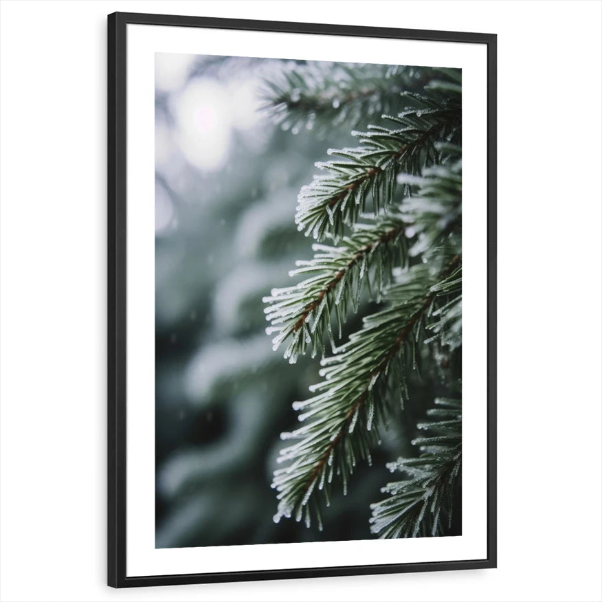 framed-print-black-white-border