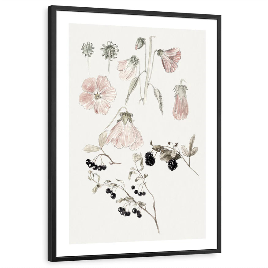 framed-print-black-white-border
