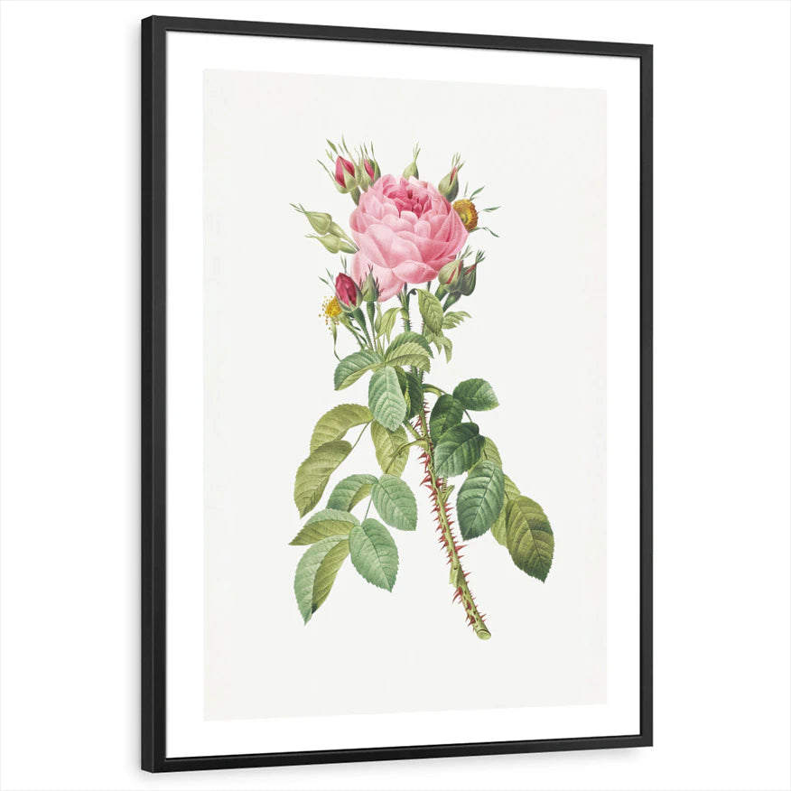 framed-print-black-white-border