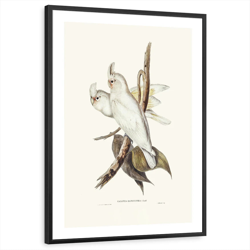 framed-print-black-white-border