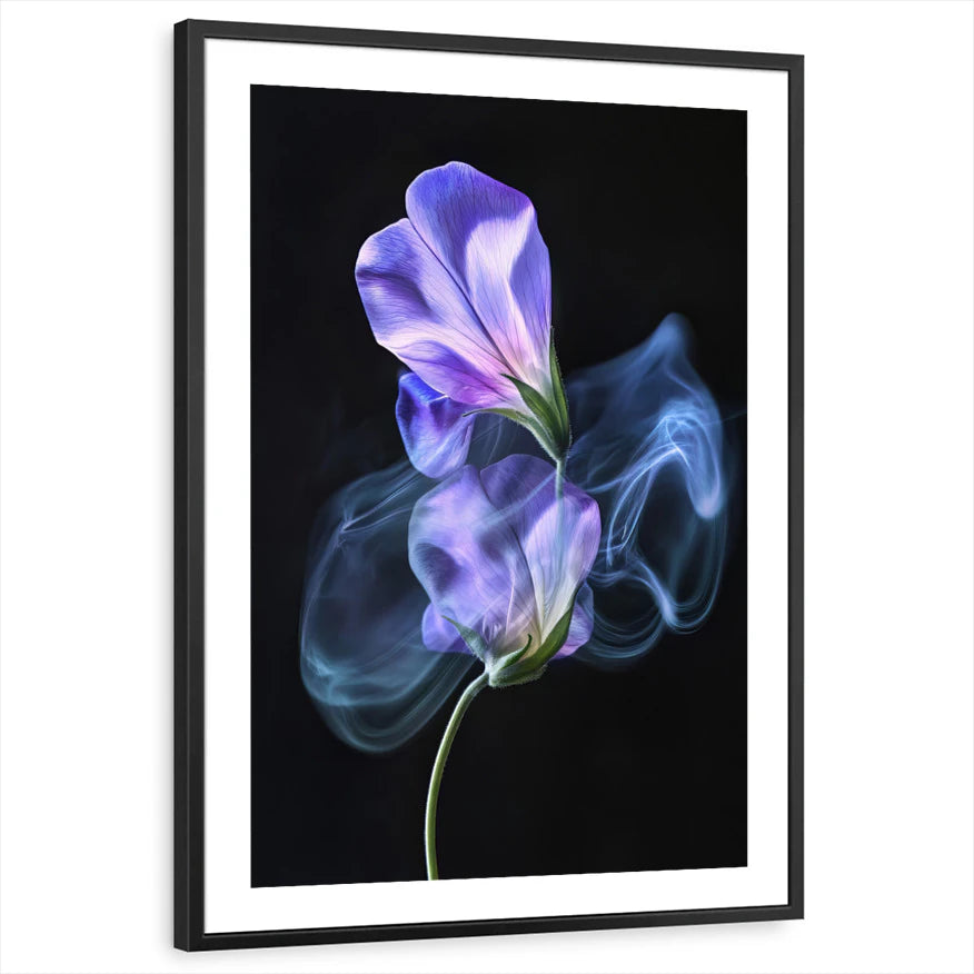 framed-print-black-white-border
