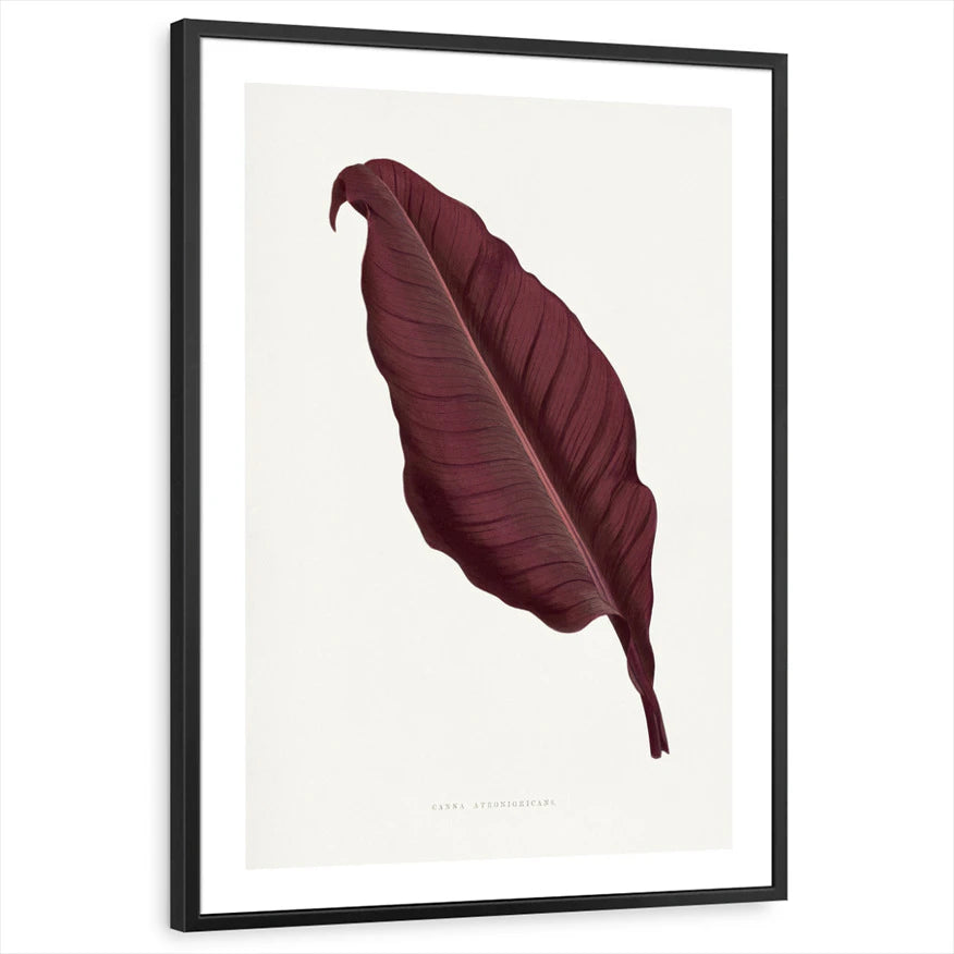 framed-print-black-white-border