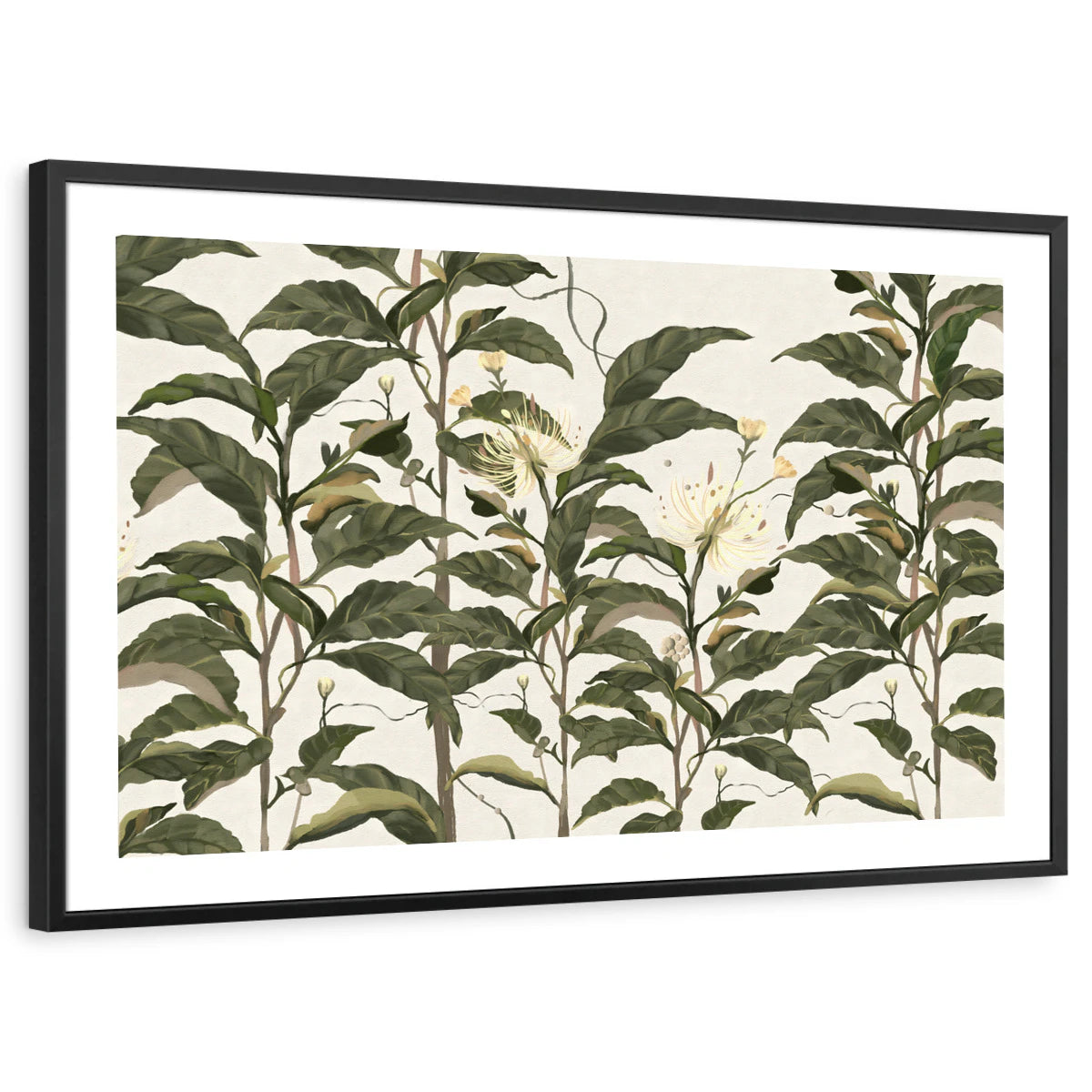 framed-print-black-white-border