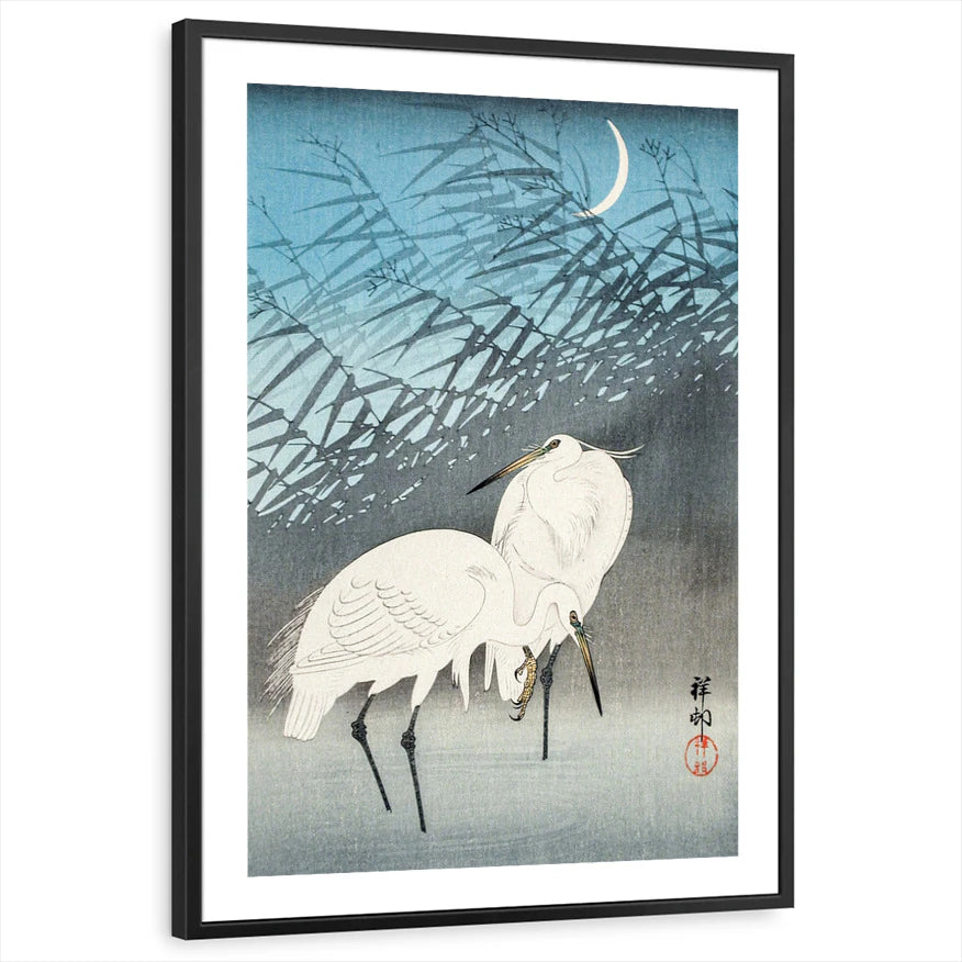 framed-print-black-white-border