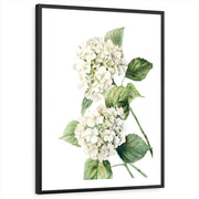 framed-print-black-white-border
