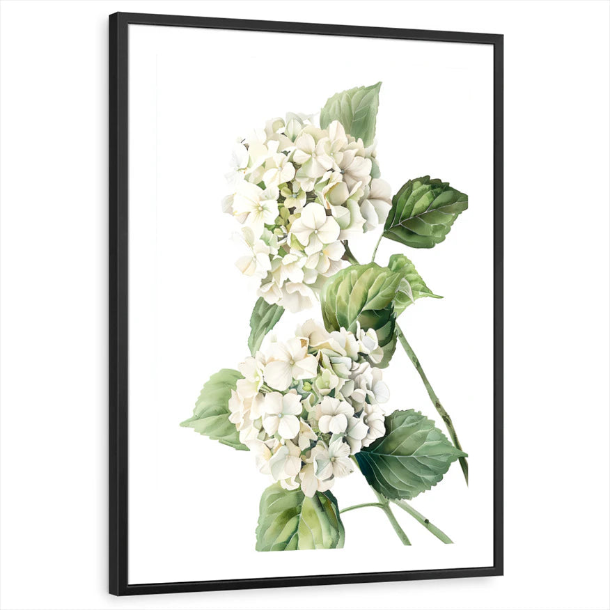 framed-print-black-white-border