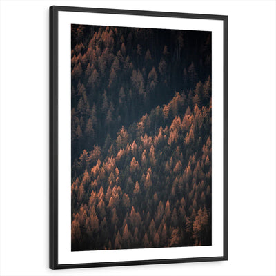framed-print-black-white-border