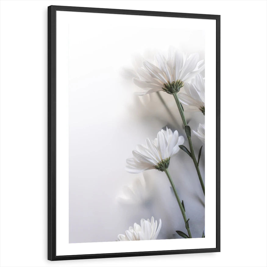framed-print-black-white-border