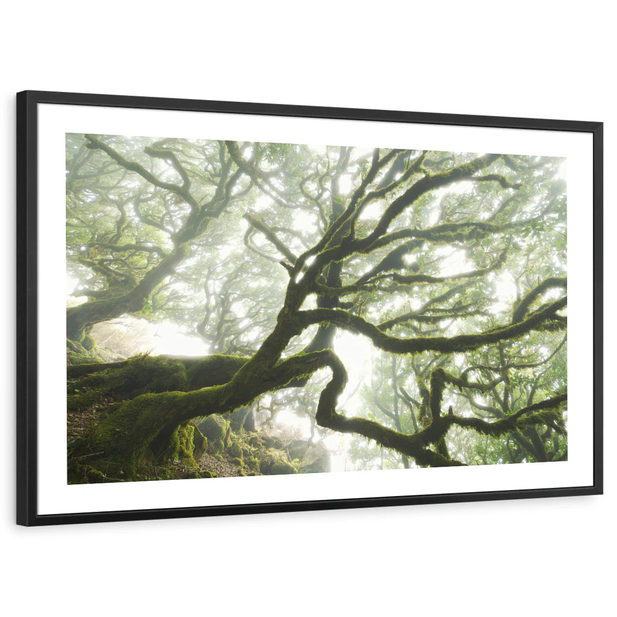 framed-print-black-white-border