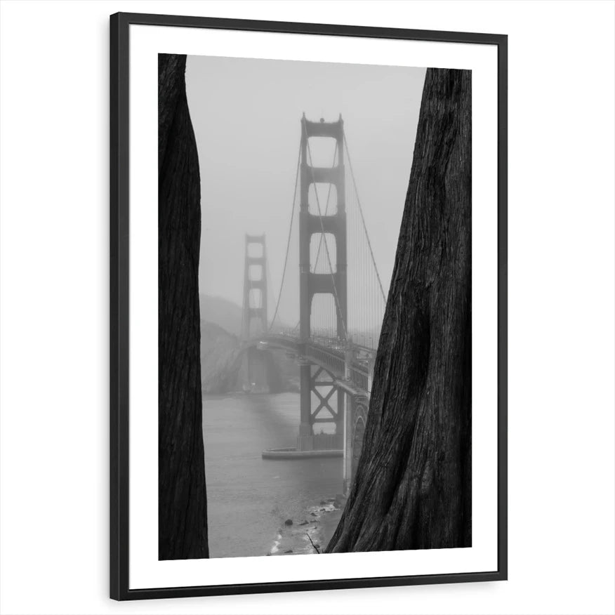 framed-print-black-white-border