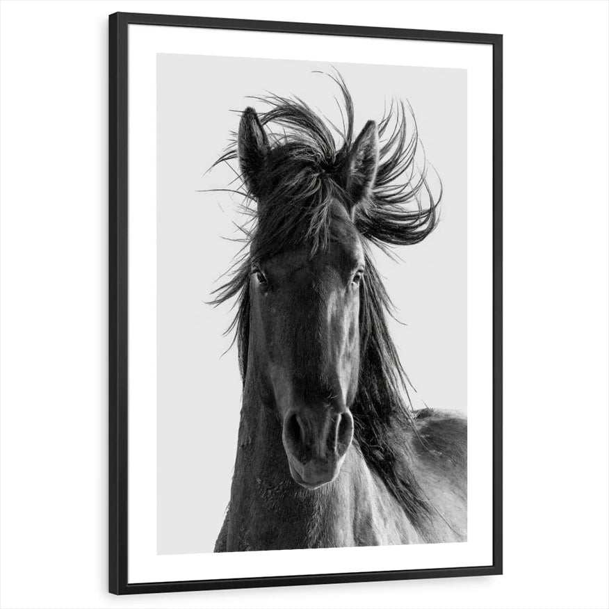 framed-print-black-white-border
