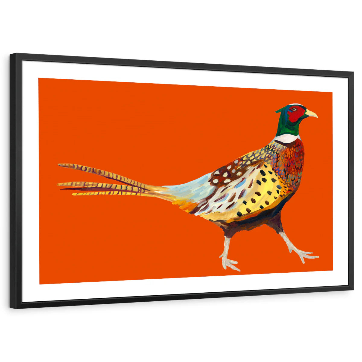 framed-print-black-white-border