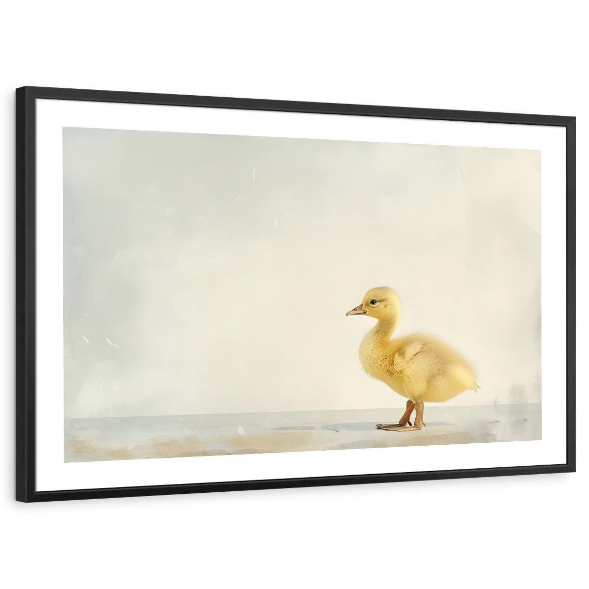 framed-print-black-white-border