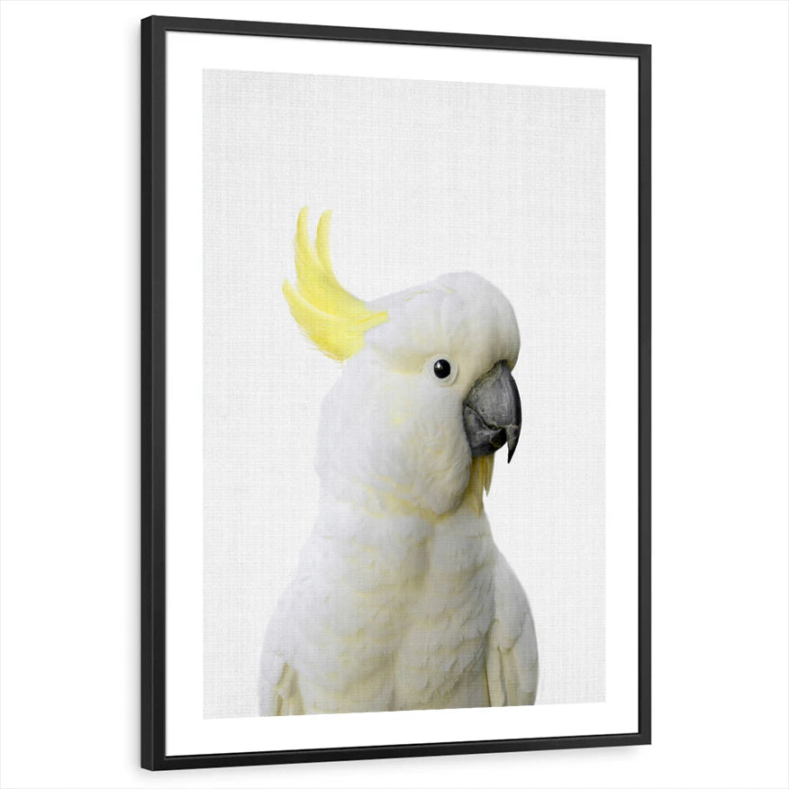 framed-print-black-white-border