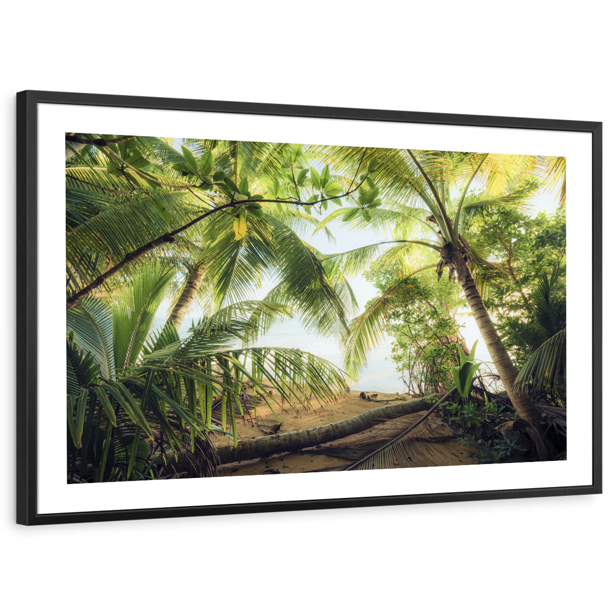 framed-print-black-white-border