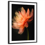 framed-print-black-white-border