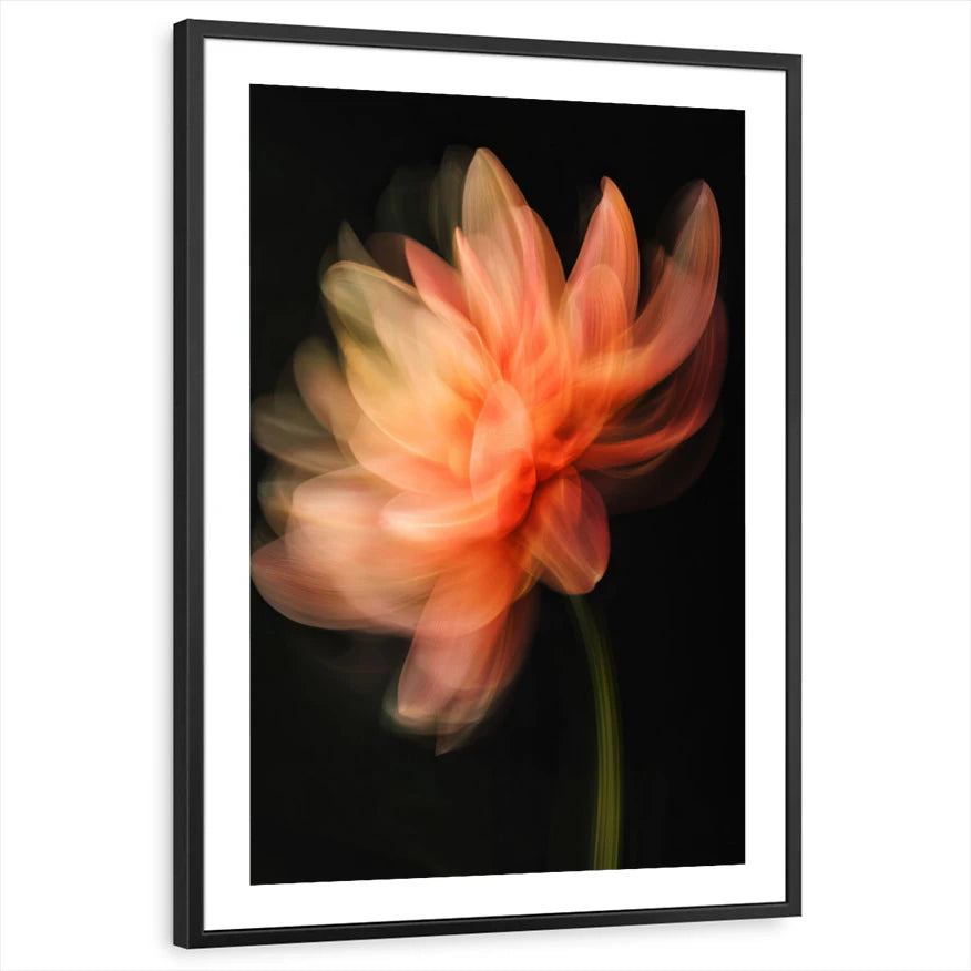 framed-print-black-white-border