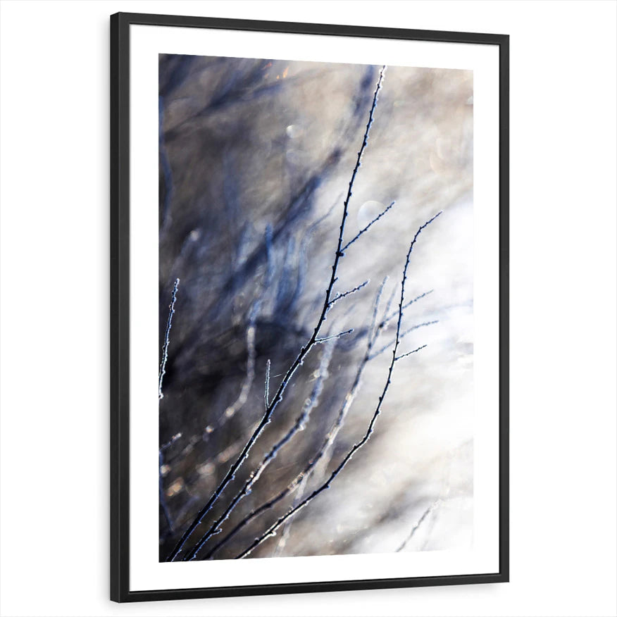 framed-print-black-white-border