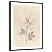framed-print-black-white-border