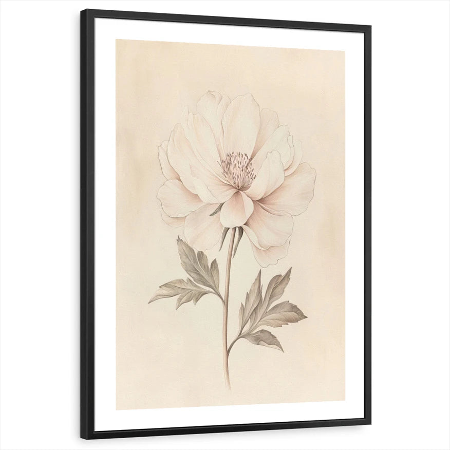 framed-print-black-white-border
