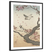 framed-print-black-white-border