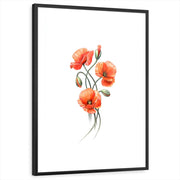 framed-print-black-white-border