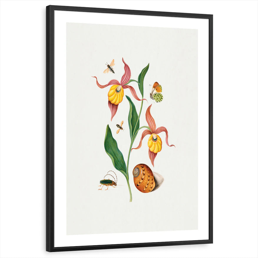 framed-print-black-white-border