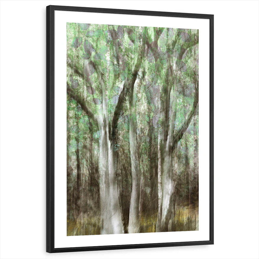 framed-print-black-white-border