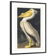 framed-print-black-white-border