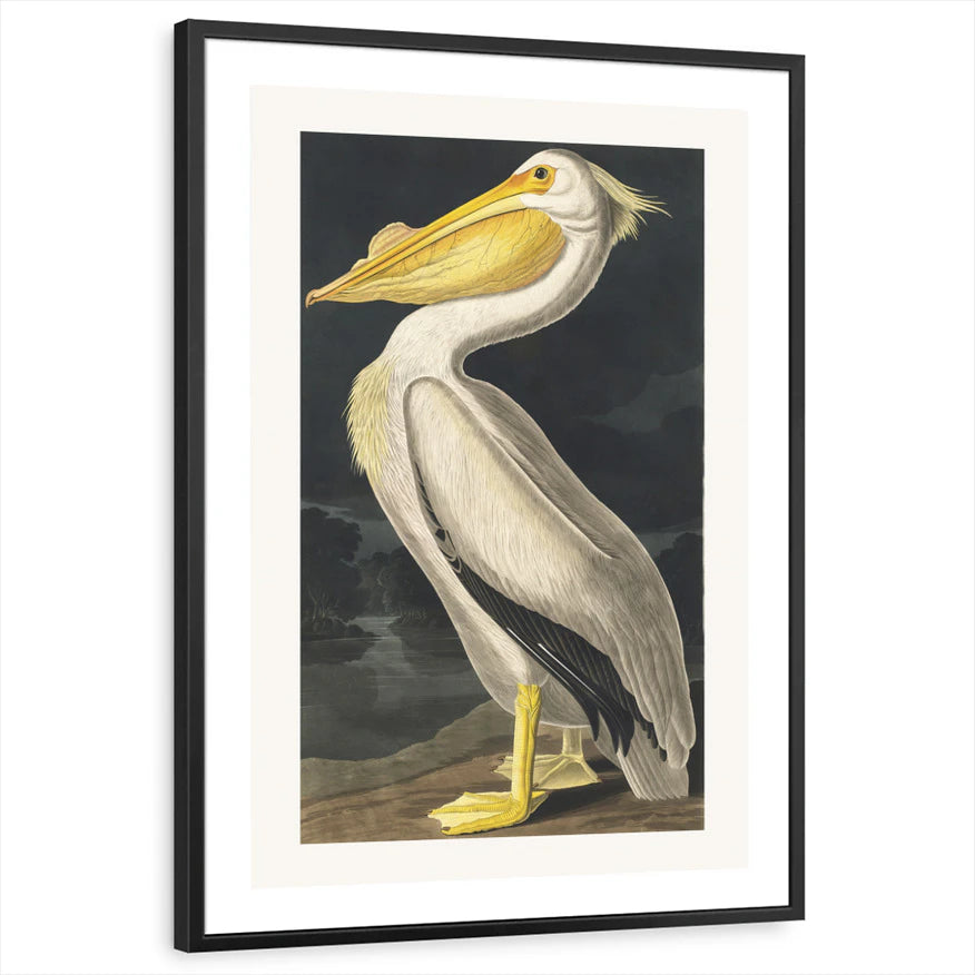 framed-print-black-white-border