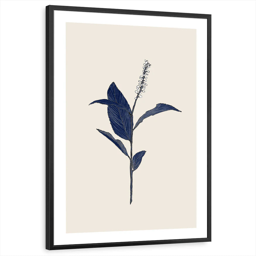 framed-print-black-white-border