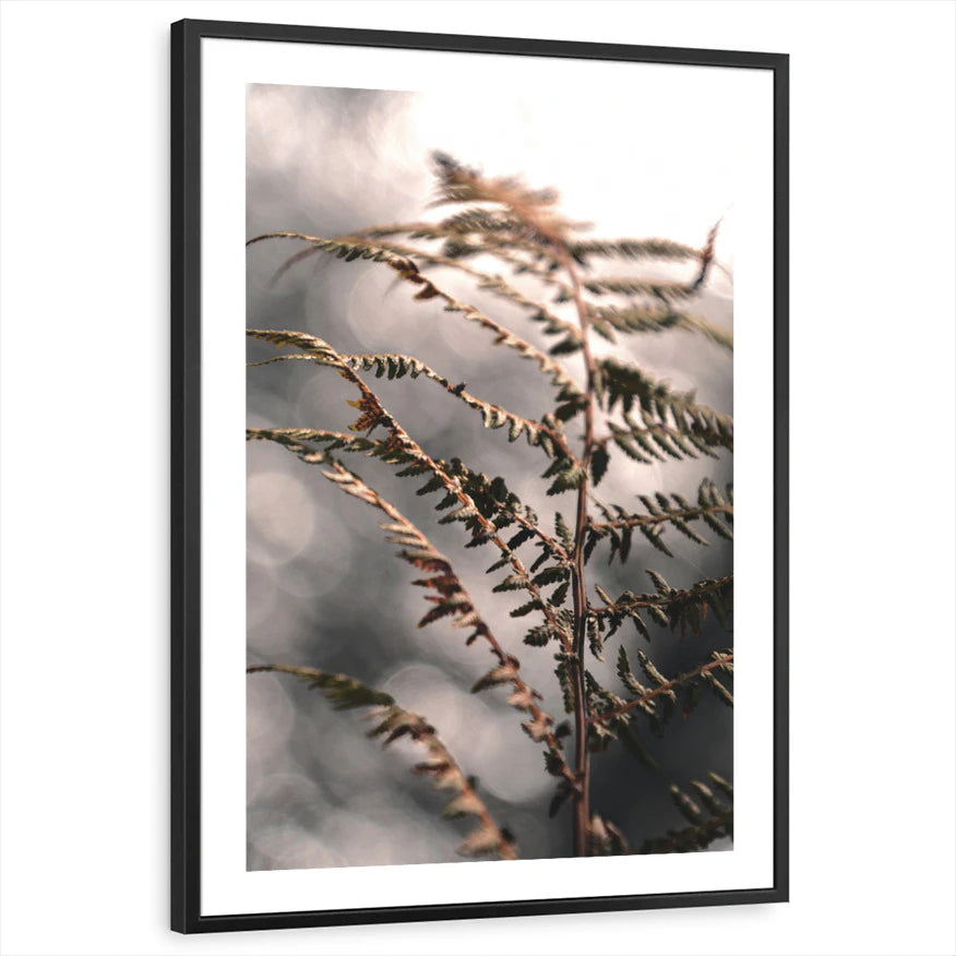 framed-print-black-white-border