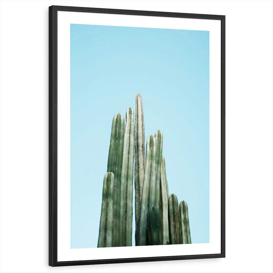 framed-print-black-white-border