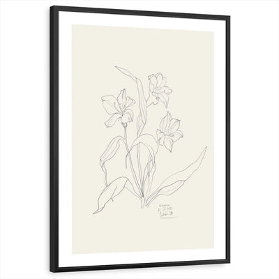 framed-print-black-white-border