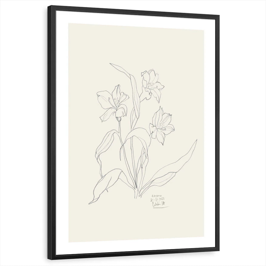 framed-print-black-white-border