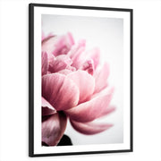 framed-print-black-white-border