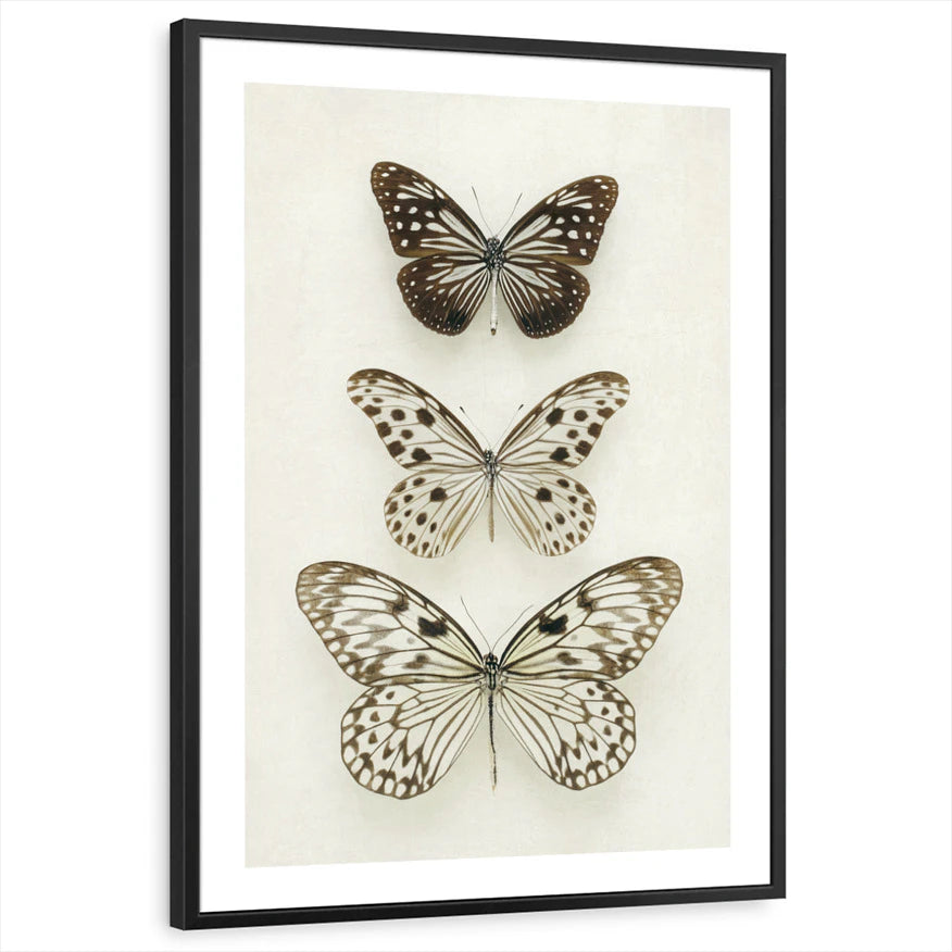 framed-print-black-white-border
