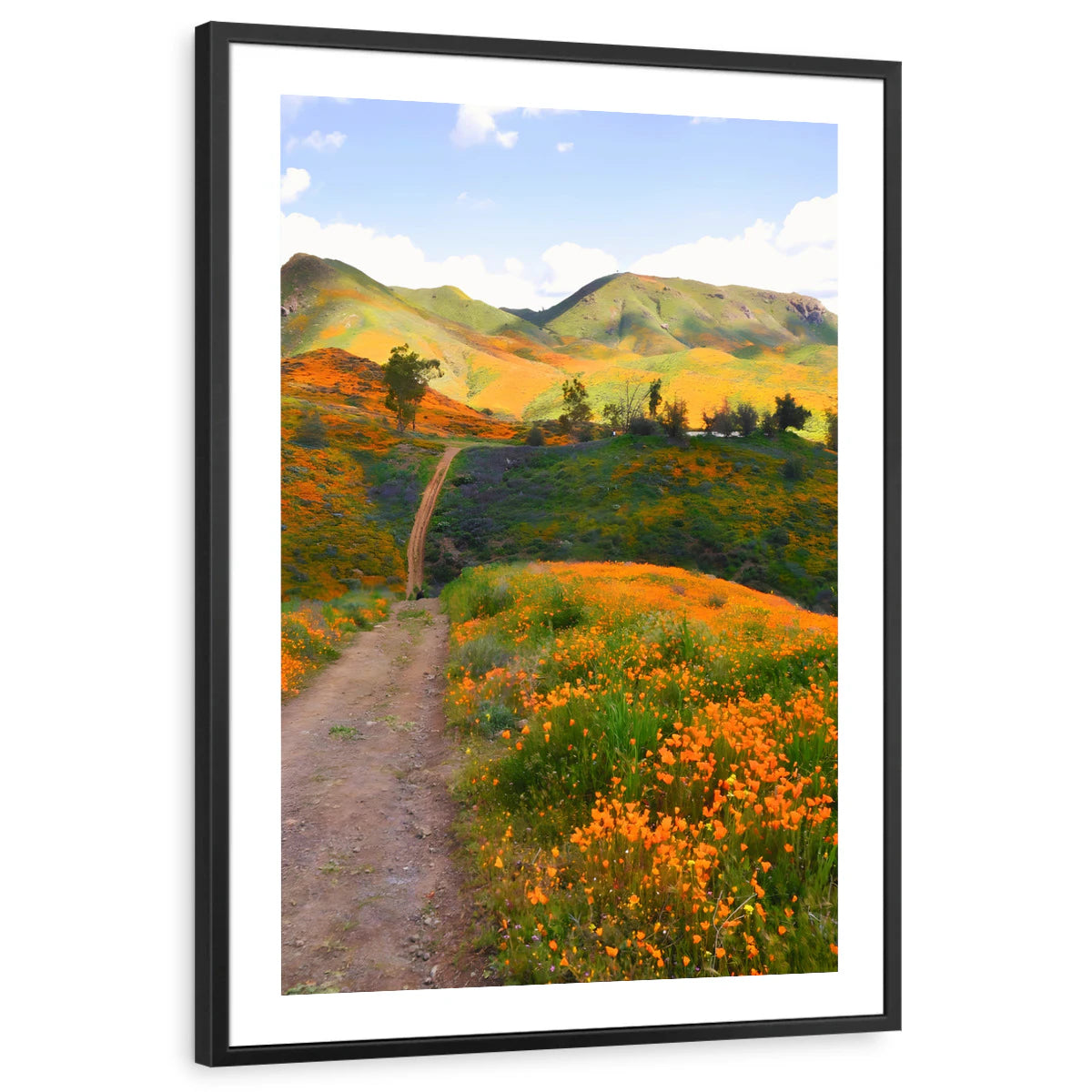 framed-print-black-white-border