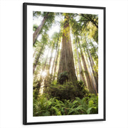framed-print-black-white-border