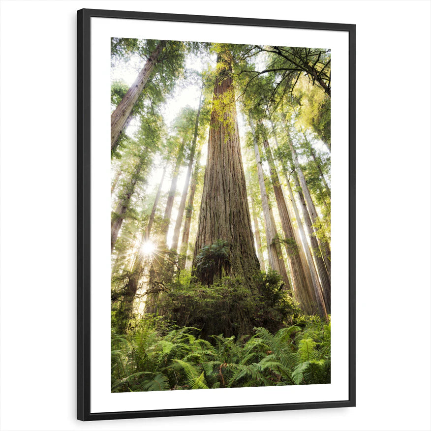framed-print-black-white-border