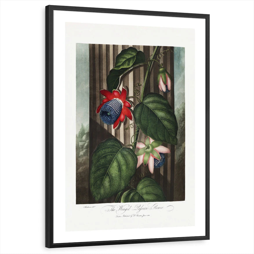 framed-print-black-white-border