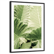 framed-print-black-white-border