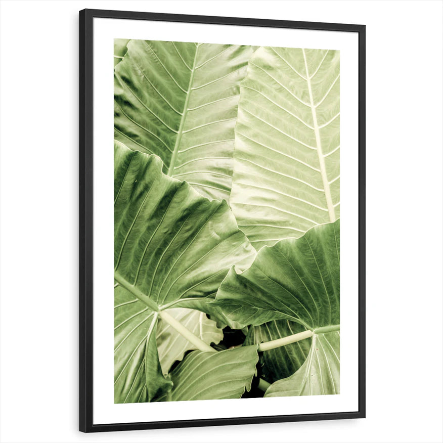 framed-print-black-white-border