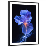 framed-print-black-white-border