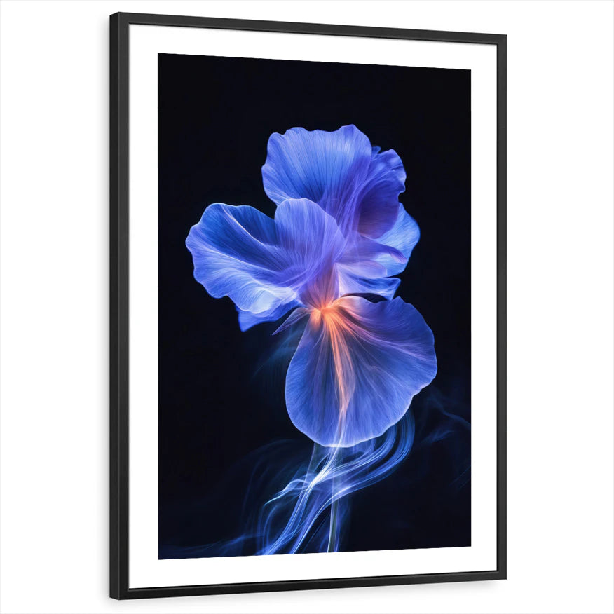 framed-print-black-white-border