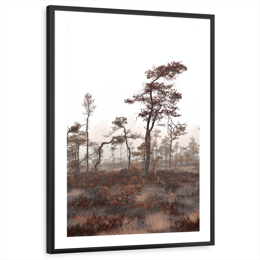 framed-print-black-white-border