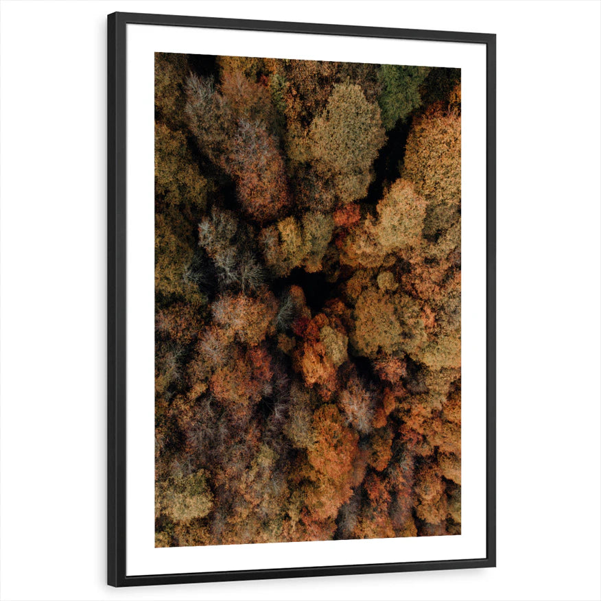framed-print-black-white-border